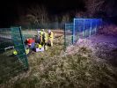 Lagerhalle in Vollbrand