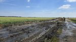 Wiese/Ödland 10 - 100 qm