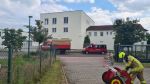 Müllcontainer/-tonne; containerbrand mit holzabfällen.