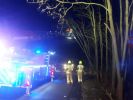 Ast/Baum auf Straße