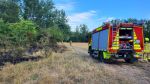 Brand Wiese/Ödland 10 - 100 qm