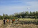 Brand Wiese/Ödland > 100 qm