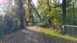 Sturmeinsatz